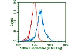 Anti-Ubiquitin Antibody, Lys63-Specific, clone Apu3, rabbit monoclonal clone Apu3, from rabbit