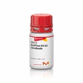 tBuXPhos Pd G3 ChemBeads