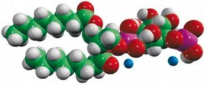 08:0 PI(3)P 1,2-dioctanoyl-sn-glycero-3-(phosphoinositol-3-phosphate) (ammonium salt), powder