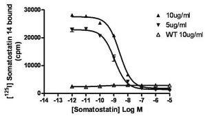 ChemiSCREEN Membrane Preparation Recombinant Human sst5 Somatostatin Receptor Human sst5 GPCR membrane preparation for Radioligand binding Assays &amp; GTPγS binding.