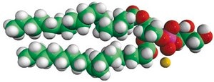 18:0-18:1 PG 1-stearoyl-2-oleoyl-sn-glycero-3-phospho-(1′-rac-glycerol) (sodium salt), chloroform