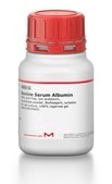 Bovine Serum Albumin fatty acid free, low endotoxin, lyophilized powder, BioReagent, suitable for cell culture, ≥96% (agarose gel electrophoresis)