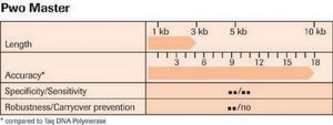 Pwo Master sufficient for ≤100 reactions, pkg of 2.5 mL (10 x 250 μl)