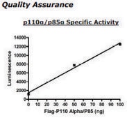 PI3 kinase (p110a/p85a) Active human recombinant, expressed in baculovirus infected insect cells, ≥80% (SDS-PAGE)