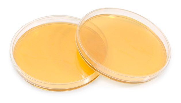 Sabouraud Dextrose Agar with Lecithin and Tween&#174; – 90mm ICR Settle plate, irradiated, triple packed, for environmental monitoring (Isolator and Clean room)