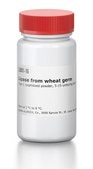 リパーゼ コムギ胚芽由来 Type I, lyophilized powder, 5-15 units/mg solid