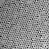 酸化鉄(II,III)、磁性ナノ粒子 溶液 10 nm avg. part. size (TEM), carboxylic acid functionalized, 5 mg/mL Fe in H2O, dispersion