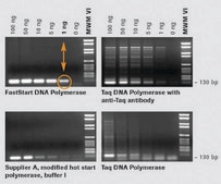 FastStart™ Taq DNA Polymerase, dNTPack