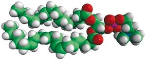 16:0-20:4 PC Avanti Research™ - A Croda Brand