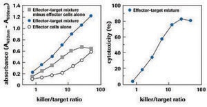 細胞毒性検出キットPLUS（LDH） sufficient for 400 multiwell tests (04744926001), sufficient for 2,000 multiwell tests (04744934001), kit of 1 (4 components), suitable for protein quantification, suitable for cell analysis, detection