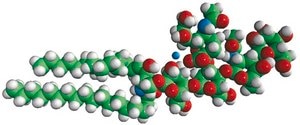 Ganglioside GM1 (Ovine Brain) Avanti Research™ - A Croda Brand