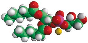 06:0 PG 1,2-dihexanoyl-sn-glycero-3-phospho-(1′-rac-glycerol) (sodium salt), powder