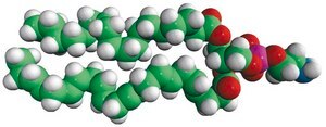 18:0-22:6 PE 1-stearoyl-2-docosahexaenoyl-sn-glycero-3-phosphoethanolamine, chloroform