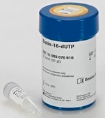 Biotin-16-dUTP