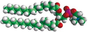 Hydro Soy PC Avanti Research™ - A Croda Brand