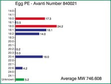 Egg PE Avanti Research™ - A Croda Brand 840021P