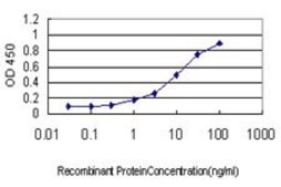 Monoclonal Anti-RHOT1 antibody produced in mouse clone 4H4, purified immunoglobulin, buffered aqueous solution