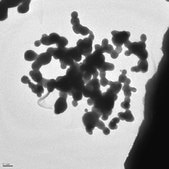 銀 nanopowder, <150 nm particle size, 99% trace metals basis