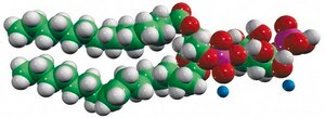16:0-18:1 PI(4)P Avanti Research™ - A Croda Brand 850157P, powder