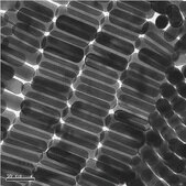 金ナノロッド 10 nm diameter, λmax, 780 nm, dispersion in H2O