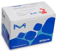 GDS Salmonella Tq