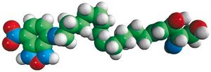 NBD Sphingosine omega(7-nitro-2-1,3-benzoxadiazol-4-yl)(2S,3R,4E)-2-aminooctadec-4-ene-1,3-diol, powder