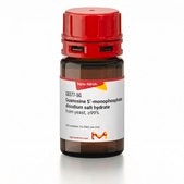 Guanosine 5′-monophosphate disodium salt hydrate from yeast, ≥99%