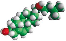 22(S)-hydroxycholesterol Avanti Research™ - A Croda Brand