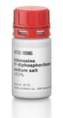 Adenosine 5′-diphosphoribose sodium salt ≥93%