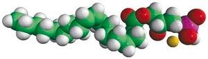 18:1 Lyso PA 1-oleoyl-2-hydroxy-sn-glycero-3-phosphate (sodium salt), chloroform