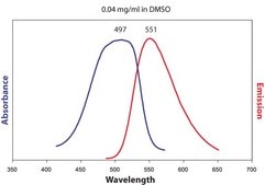25-NBD Cholesterol Avanti Research™ - A Croda Brand 810250C