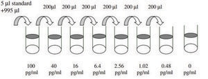 Human IL-1 β ELISA Kit for serum, plasma, cell culture supernatant and urine