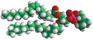 18:1-18:0 PC 1-oleoyl-2-stearoyl-sn-glycero-3-phosphocholine, chloroform