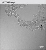 Monolayer graphene film 1 in x 1 in on copper foil, with PMMA coating, avg. no. of layers, 1
