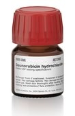 Daunorubicin hydrochloride meets USP testing specifications