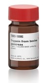 Trypsin from bovine pancreas Type I, ~10,000 BAEE units/mg protein