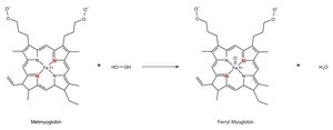 Antioxidant Assay Kit sufficient for 200 tests