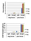 AccuChIP Acetyl-Histone H3 (Lys9) Chromatin Immunoprecipitation Internal Control target-specific spike-in controls that make ChIP experiments more quantitative and accurate