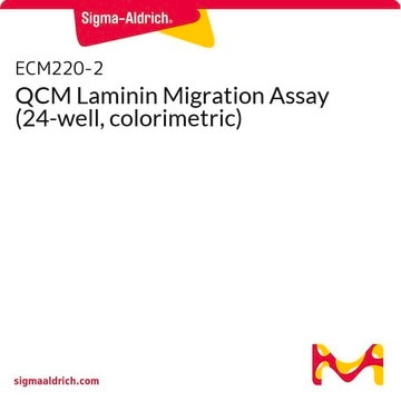 QCM Laminin Migration Assay (24-well, colorimetric)
