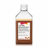 Bovine Calf Serum USA origin, for cell culture, sterile-filtered, suitable for cell culture
