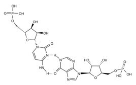 Polyinosinic–polycytidylic acid potassium salt with buffer salts, TLR ligand tested