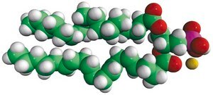 18:0-20:4 PA 1-stearoyl-2-arachidonoyl-sn-glycero-3-phosphate (sodium salt), chloroform