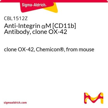 Anti-Integrin αM [CD11b] Antibody, clone OX-42 clone OX-42, Chemicon®, from mouse