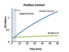 AST Activity Assay Kit sufficient for 100 colorimetric&nbsp;tests