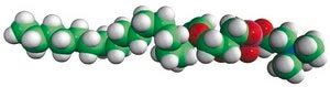 C18(Plasm) LPC 1-O-1′-(Z)-octadecenyl-2-hydroxy-sn-glycero-3-phosphocholine, powder