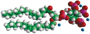 18:1 PI(3,4,5)P3 1,2-dioleoyl-sn-glycero-3-phospho-(1′-myo-inositol-3′,4′,5′-trisphosphate) (ammonium salt), powder
