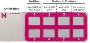 Duolink® PLA Control Kit - PPI Control Kit to reliably detect Protein-Protein Interactions (PPI) with Duolink® PLA