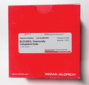 OverExpress™ C41(DE3) Chemically Competent Cells for the highest protein expression