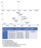 SILu™Lite SigmaMAb Cetuximab Monoclonal Antibody recombinant, expressed in CHO cells