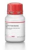 α-Casein from bovine milk ≥70% αs-casein basis (electrophoresis), lyophilized powder